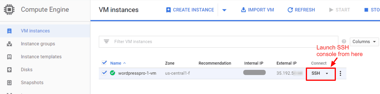 Connect to your server via SSH in order to  remove bitnami logo